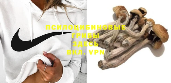 ПСИЛОЦИБИНОВЫЕ ГРИБЫ Богородицк