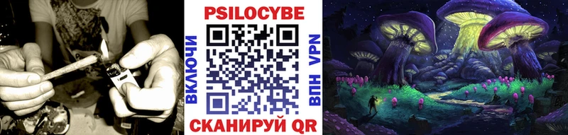 купить наркотик  МЕГА зеркало  Галлюциногенные грибы MAGIC MUSHROOMS  Мезень 